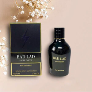 عطر ادکلن بد لد مردانه فراگرنس ورد Bad Lad حجم 100 میلی لیتر